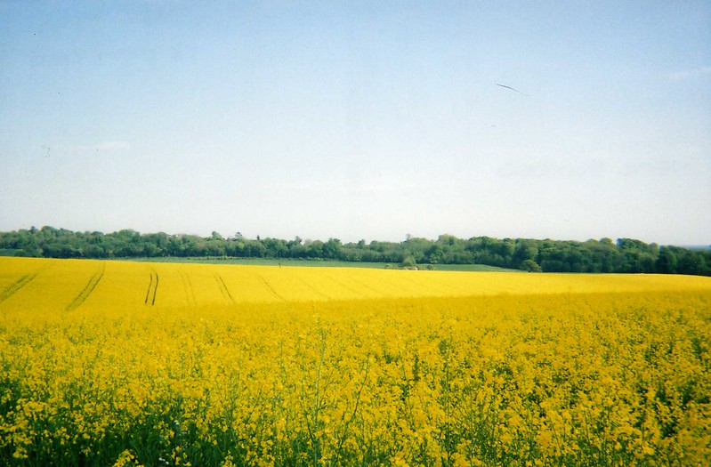 Oración Lc 17, 5-10: ¡Si tuvierais&nbsp;fe…!